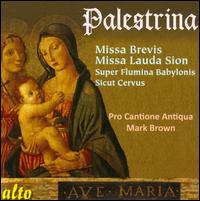 Palestrina: Missa Brevis; Missa Lauda Sion - Pro Cantione Antiqua; Mark Brown (conductor)