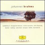 Panorama: Johannes Brahms