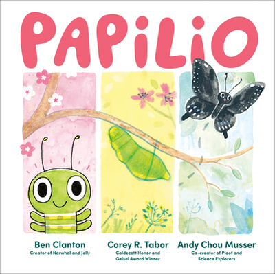Papilio - 