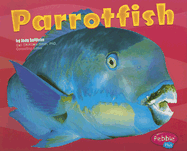 Parrotfish