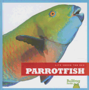 Parrotfish