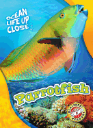 Parrotfish