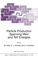 Particle Production Spanning Mev and TeV Energies