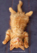Password Notebook: Large Internet Address and Password Logbook / Journal / Diary - Ginger Kitten Chilling Out Cover
