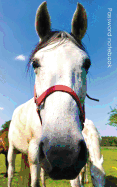 Password Notebook: Small Internet Address and Password Logbook / Journal / Diary - Unicorn Cover