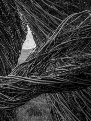 Patrick Dougherty James Florio: Sticks - Dougherty, Patrick, and Florio, James (Photographer)