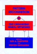 Pattern Recognition by Self-Organizing Neural Networks