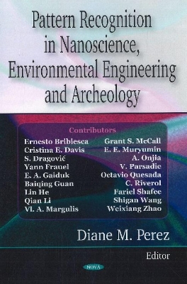 Pattern Recognition in Nanoscience, Environmental Engineering and Archeology - Perez, Diane M (Editor)