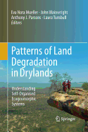 Patterns of Land Degradation in Drylands: Understanding Self-Organised Ecogeomorphic Systems