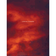 Paul Graham: A Shimmer of Possibility