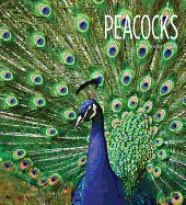 Peacocks