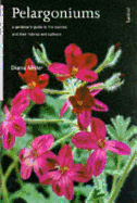 PELARGONIUMS