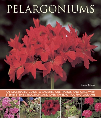 Pelargoniums - Cooke, Blaise