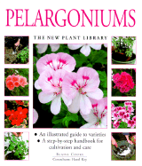 Pelargoniums
