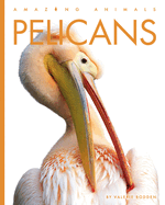 Pelicans