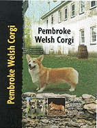 Pembroke Welsh Corgi