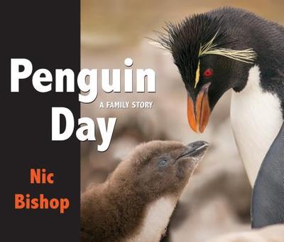 Penguin Day - 