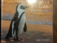 Penguins of Boulders