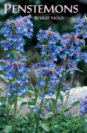 Penstemons