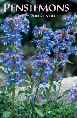 Penstemons - Nold, Robert
