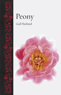 Peony
