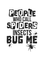 People Who Call Spiders Insects Bug Me: Clever Creepy Crawly Message For Spider Lover Notebook
