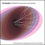 Per N�rg�rd: Sceneries for Percussion & Ensemble