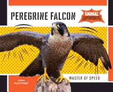 Peregrine Falcon: Master of Speed