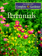 Perennials