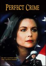 Perfect Crime - Robert Michael Lewis