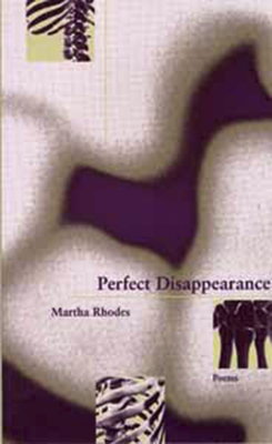 Perfect Disappearance - Rhodes, Martha