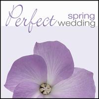 Perfect Spring Wedding - 