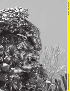 Permanent Collection: Issue V