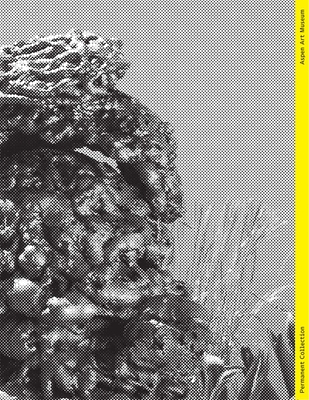 Permanent Collection: Issue V - Zuckerman, Heidi (Text by)