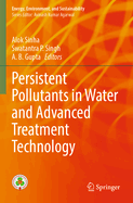 Persistent Pollutants in Water and Advanced Treatment Technology