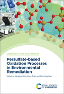 Persulfate-Based Oxidation Processes in Environmental Remediation