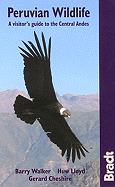 Peruvian Wildlife: A Visitor's Guide to the High Andes