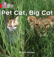 Pet Cat, Big Cat: Band 02a/Red A