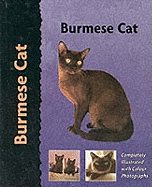 Pet Love Burmese Cat