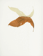 Peter Saville: Estate 1-127