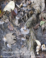 Phantograms from Nature, Western USA