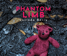 Phantom Limb: A Gripping Psychological Thriller