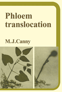 Phloem translocation