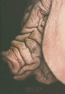 Photography Profile 2005 - Graphis, and Krass, Angela (Editor)