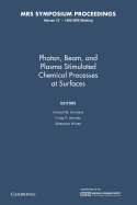 Photon, Beam, and Plasma Stimulated Chemical Processes at Surfaces: Volume 75