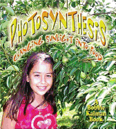 Photosynthesis: Changing Sunlight Into Food