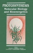 Photosynthesis: Molecular Biology and Bioenergetics