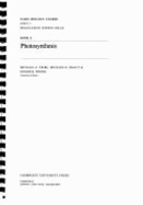 Photosynthesis