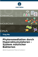 Phytoremediation durch Hyperakkumulatoren - System n?tzlicher Bakterien