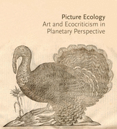 Picture Ecology: Art and Ecocriticism in Planetary Perspective
